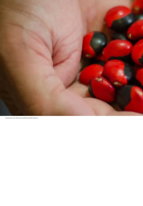 01 Livro Floresta Atlantica de Tabuleiro