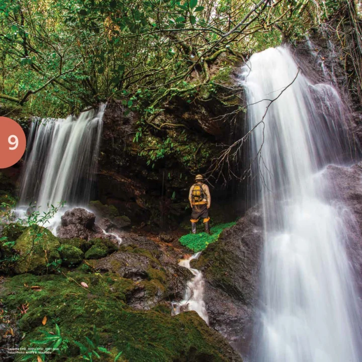 01 Livro Guia De Boas Praticas Monitoramento
