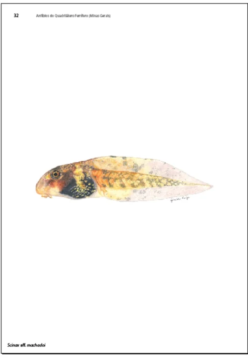 03 Livro Anfibios do Quadrilatero Ferrifero