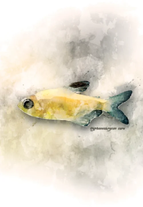 03 Livro Fauna de Vertebrados do Entorno