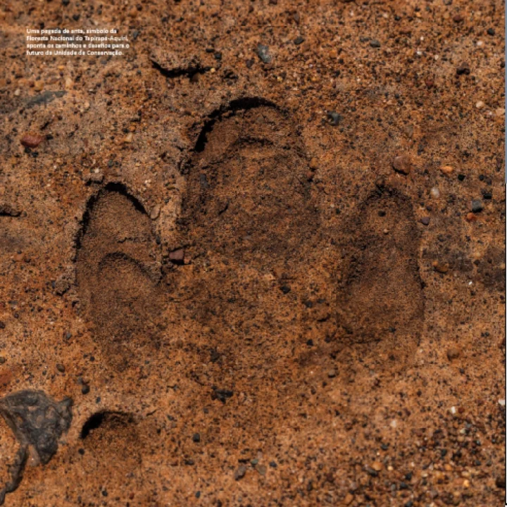 03 Livro Floresta Nacional Tapirape