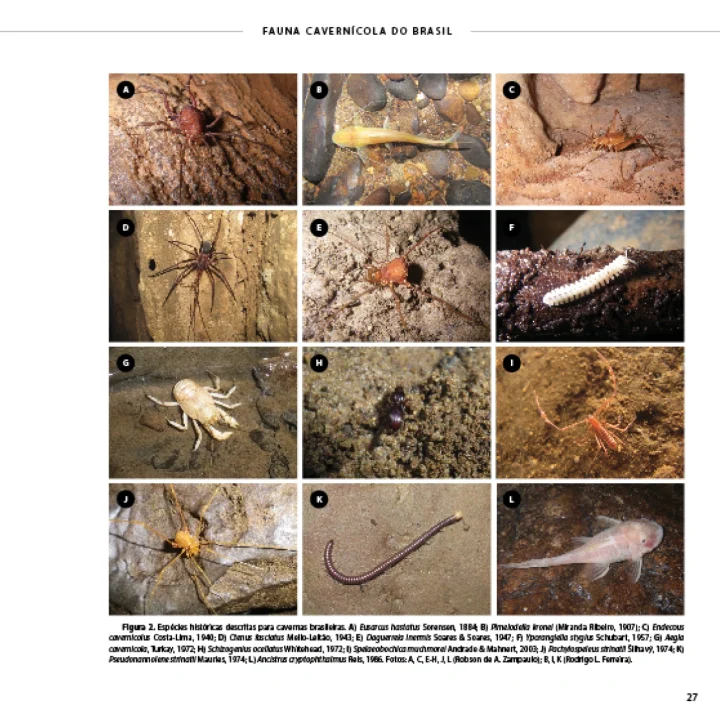 04 Livro Fauna Carvenicola do Brasil