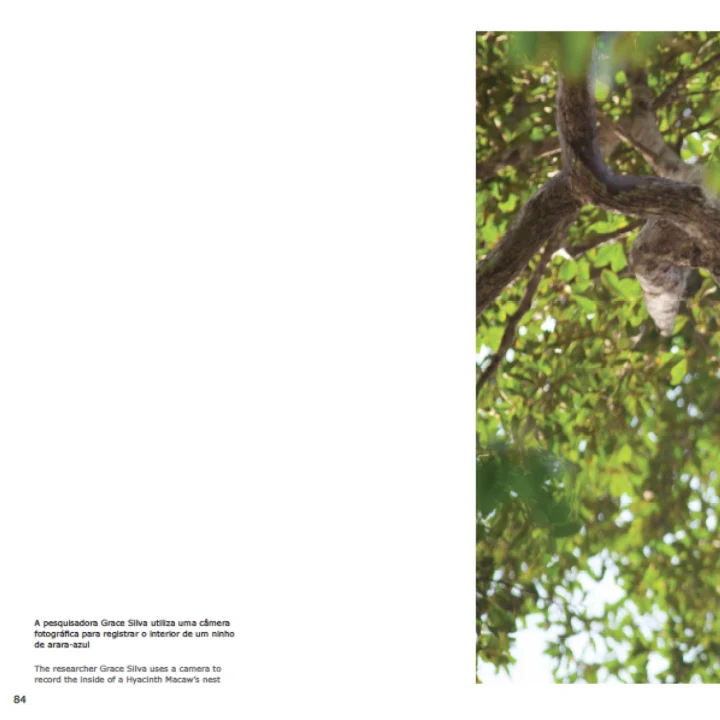 05 Livro Arara Azul