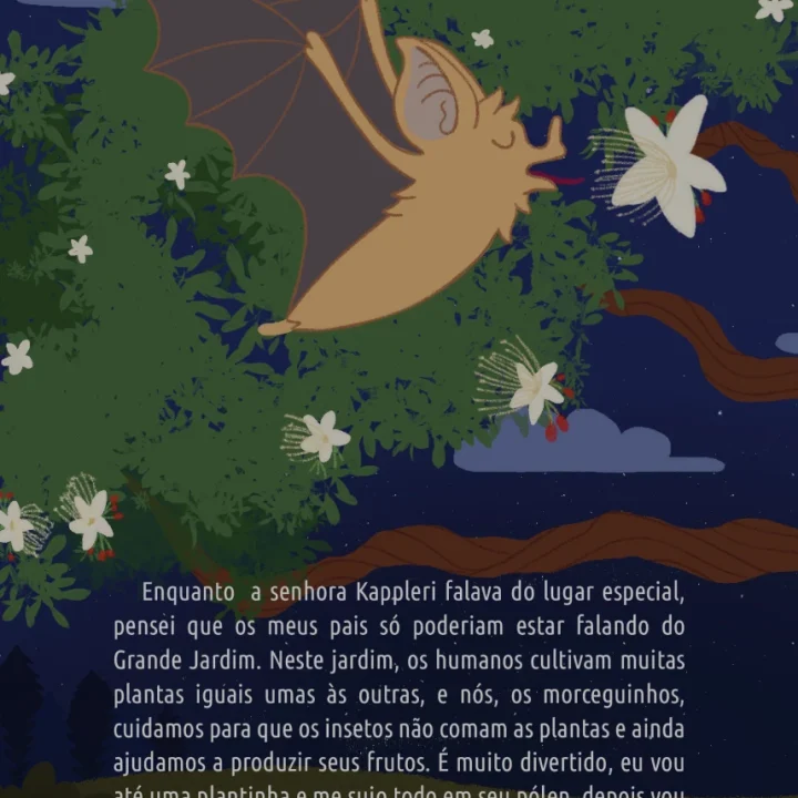 05 Livro Aventuras de Guinho