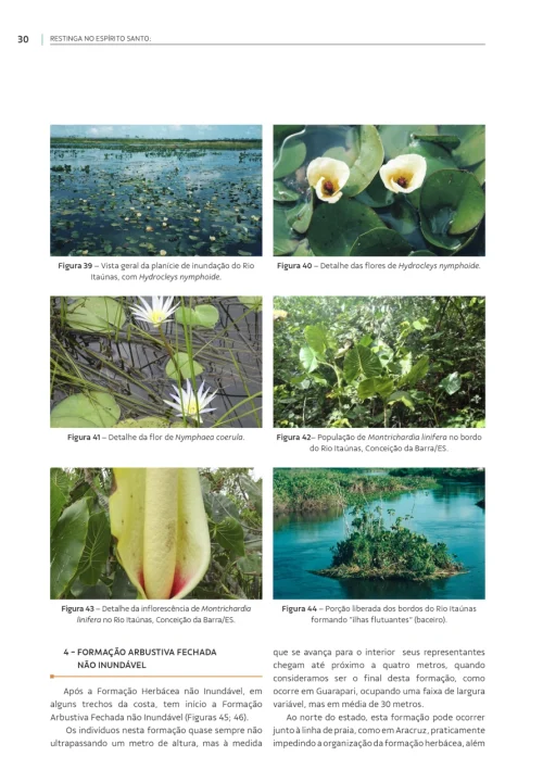 05 Livro Restinga