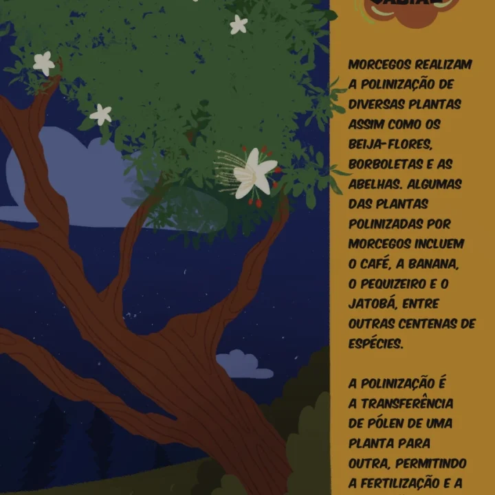 06 Livro Aventuras de Guinho