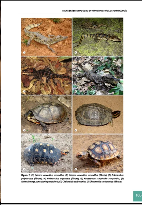 06 Livro Fauna de Vertebrados do Entorno