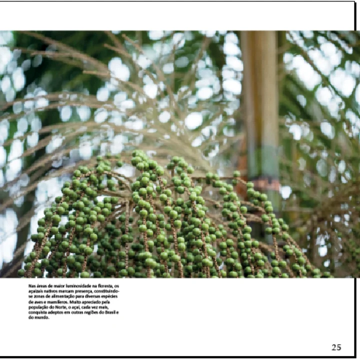 06 Livro Floresta Nacional Tapirape