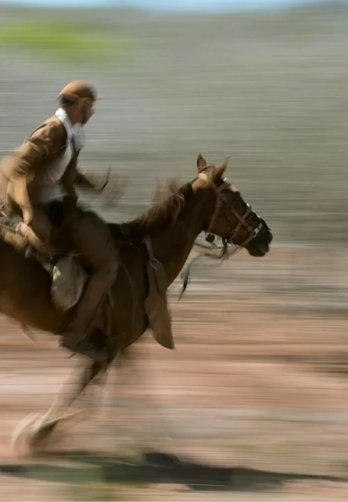 06 Livro Jardins da Arara de Lear