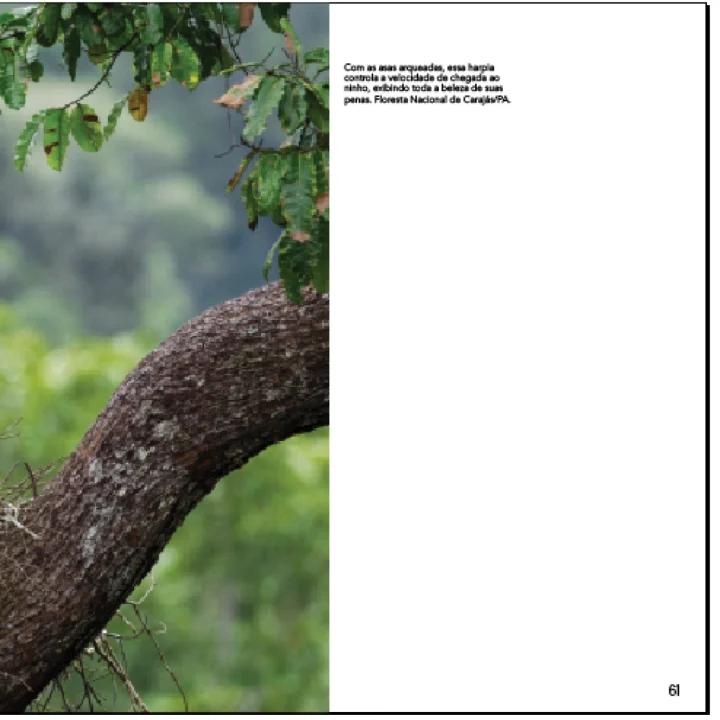 06 Livro Projeto Harpia 20 anos