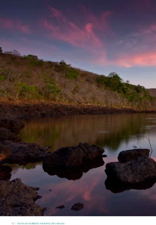 07 Livro Fauna da Floresta Nacional de Carajas