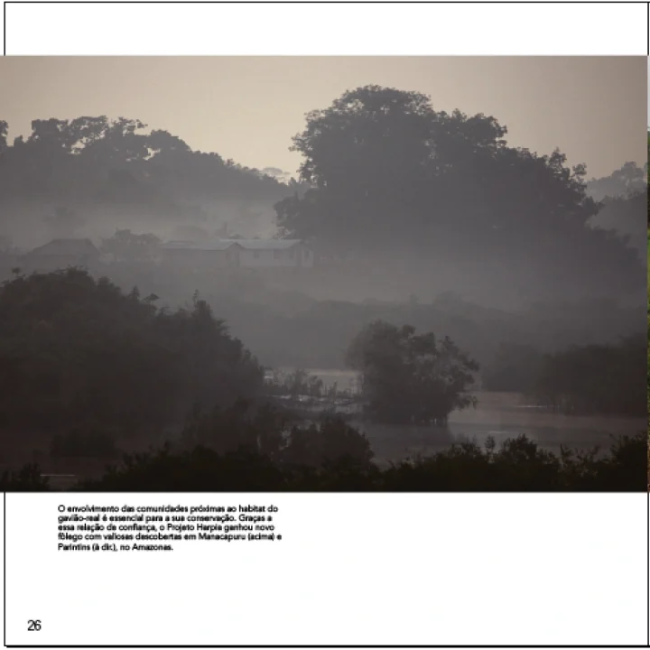 07 Livro Projeto Harpia 20 anos