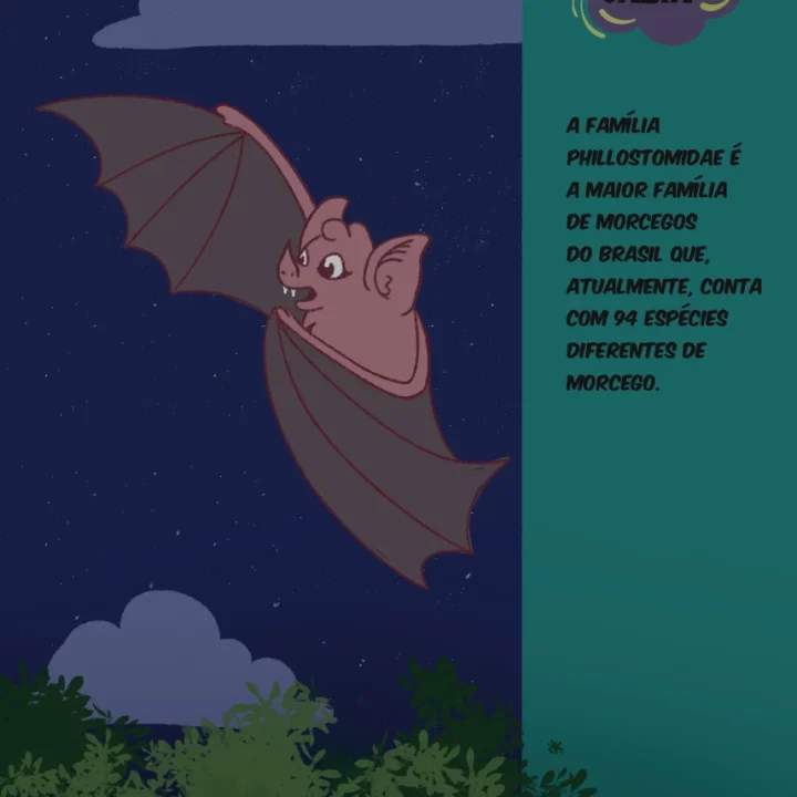 08 Livro Aventuras de Guinho
