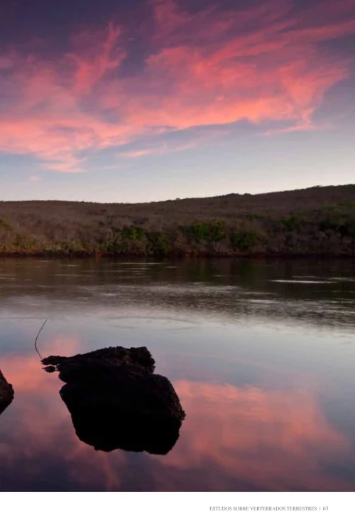 08 Livro Fauna da Floresta Nacional de Carajas