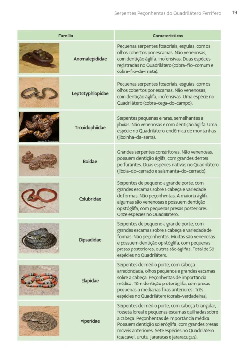 08 Livro Serpentes