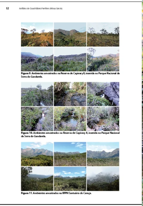 09 Livro Anfibios do Quadrilatero Ferrifero