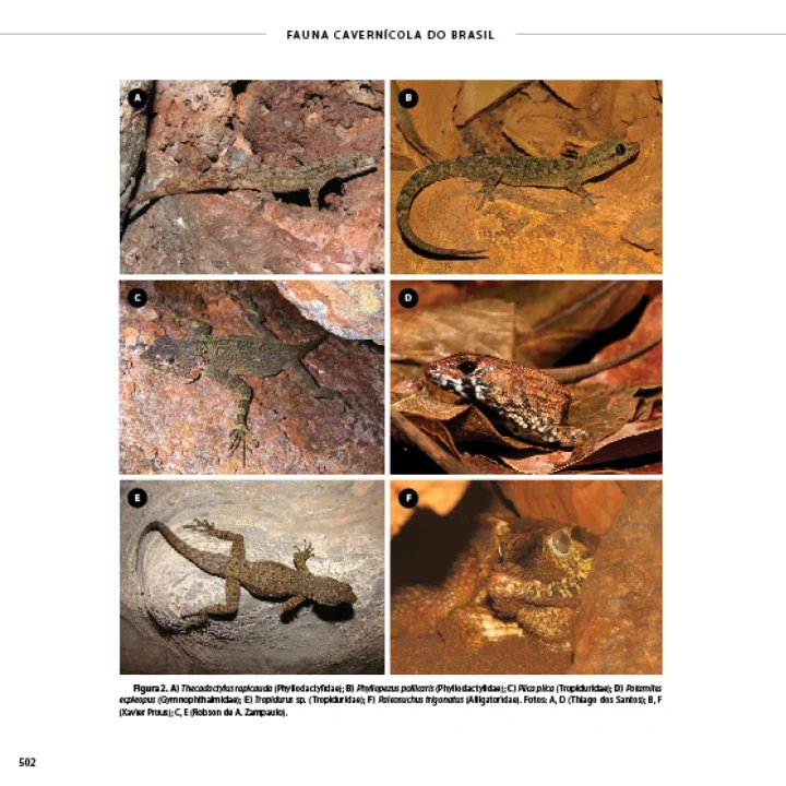 09 Livro Fauna Carvenicola do Brasil