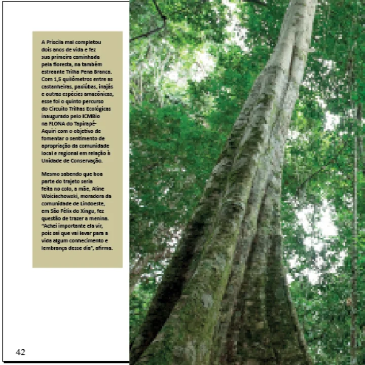 09 Livro Floresta Nacional Tapirape