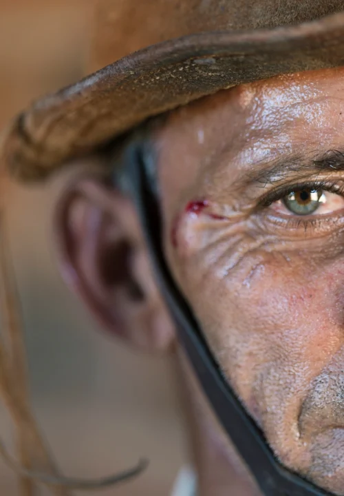 09 Livro Jardins da Arara de Lear