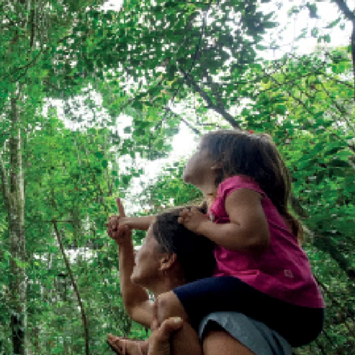 10 Livro Floresta Nacional Tapirape