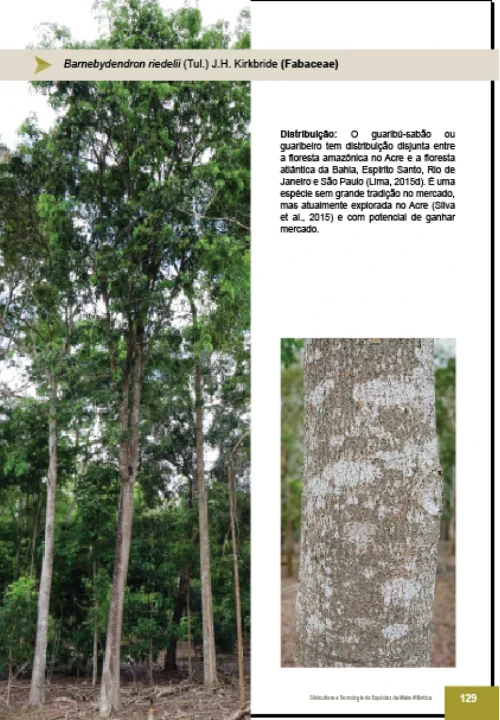 10 Livro Silvicultura e Tecnologia de Especies