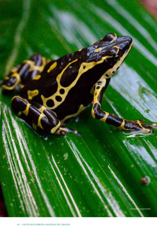 11 Livro Fauna da Floresta Nacional de Carajas