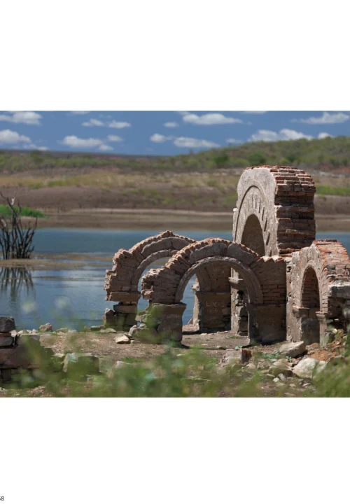 11 Livro Jardins da Arara de Lear