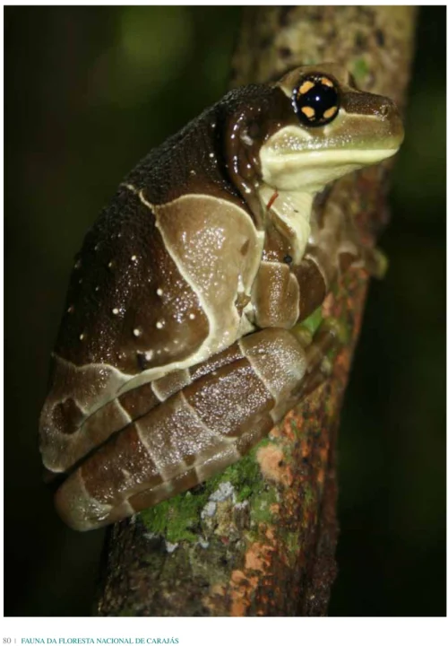 15 Livro Fauna da Floresta Nacional de Carajas