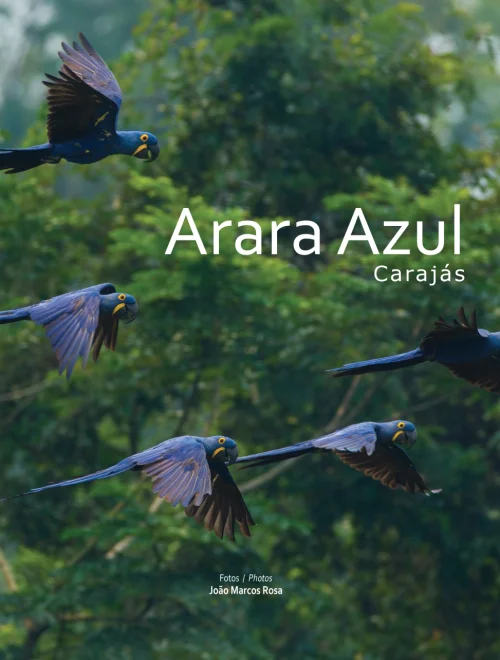 Capa Livro Arara Azul