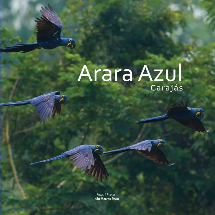 Capa Livro Arara Azul