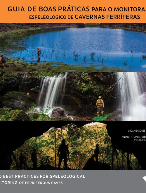 Capa Livro Guia De Boas Praticas Monitoramento
