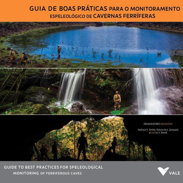 Capa Livro Guia De Boas Praticas Monitoramento